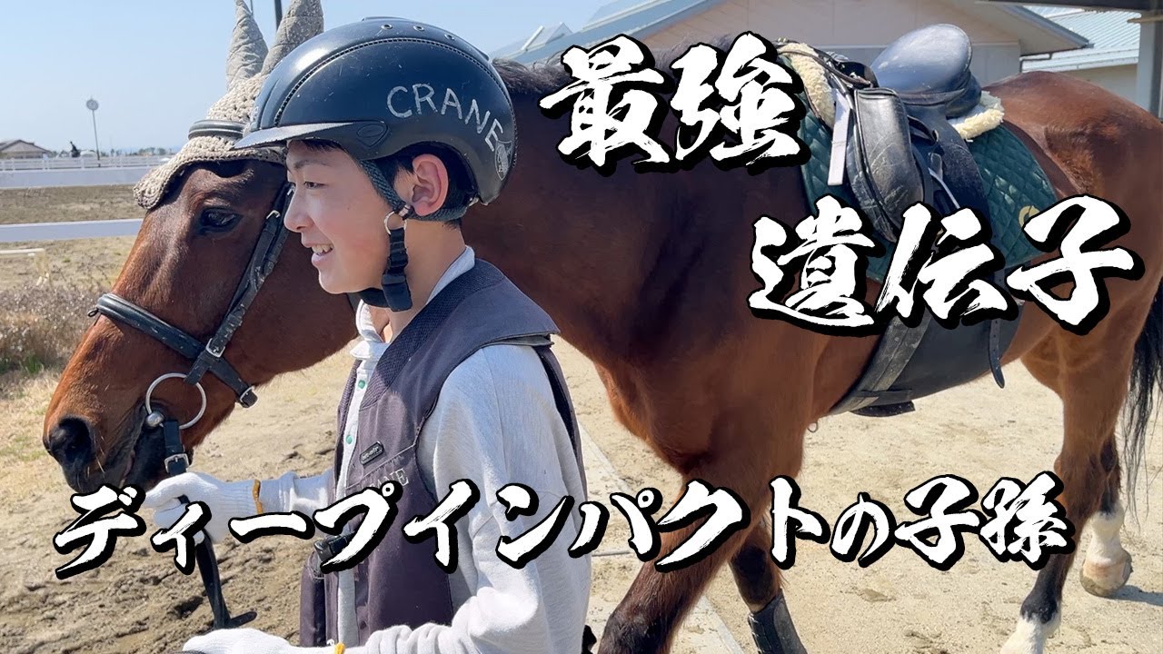 ディープインパクトの遺伝子を乗りこなしてきました【乗馬】