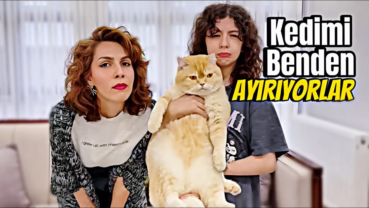 KEDİMİZİ SAHİPLENDİRİYORUZ 😥 | Esmanur ve Sara