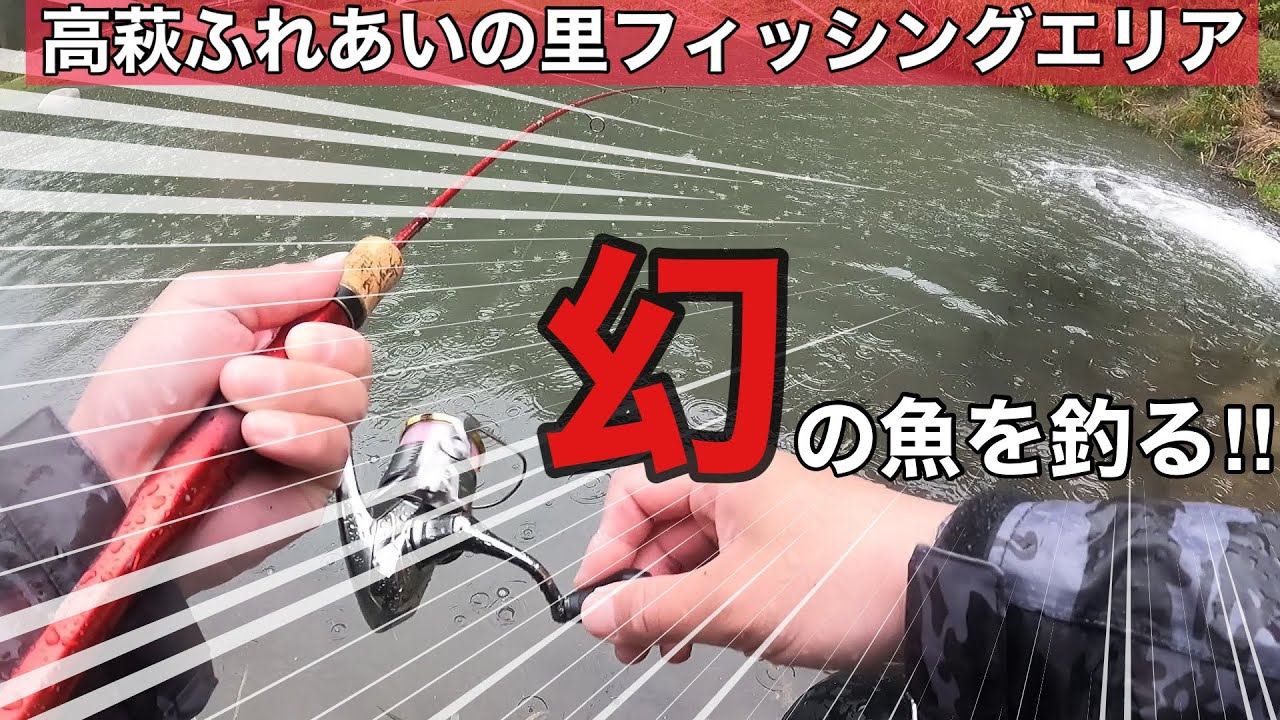 【幻の魚を釣る！】高萩ふれあいの里フィッシングエリア釣行【エリアトラウト　管理釣り場　管釣り】