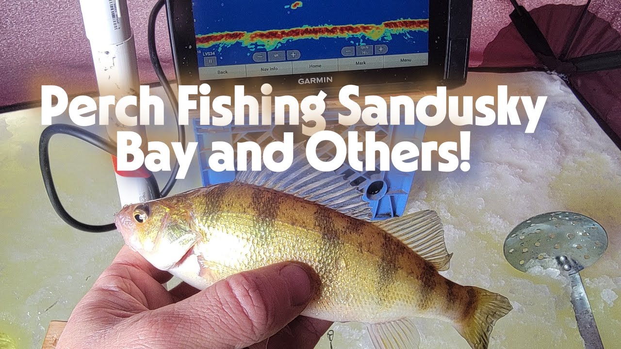 Lake Erie Ice Fishing - Sandusky Bay and Others!