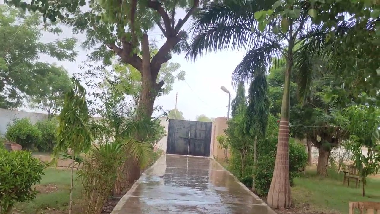 Rain at JCON Jamshoro, 8 July 2022