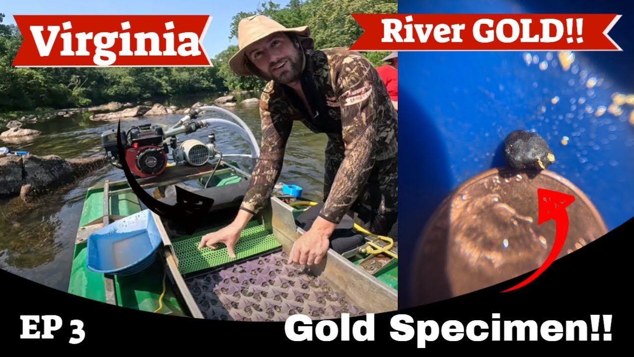 Virginia River gold! EP3 Gold Specimen!