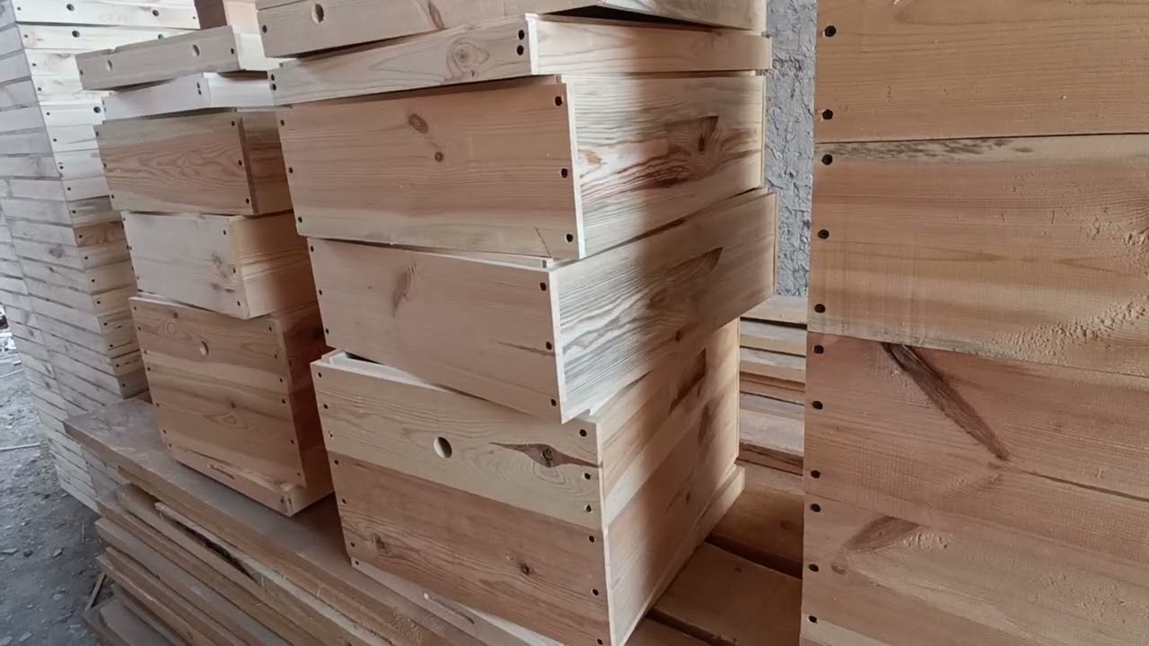 Балчелек Улик Сатабыз