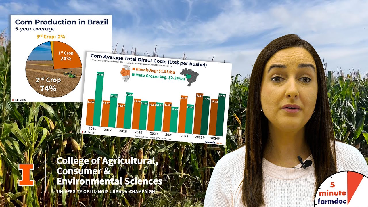 Corn Costs Compared: Illinois vs. Brazil's Mato Grosso