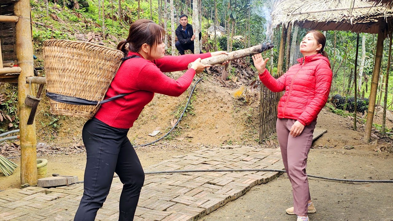 Duong returned to the old bamboo house to apologize to Dao. Sua became cruel