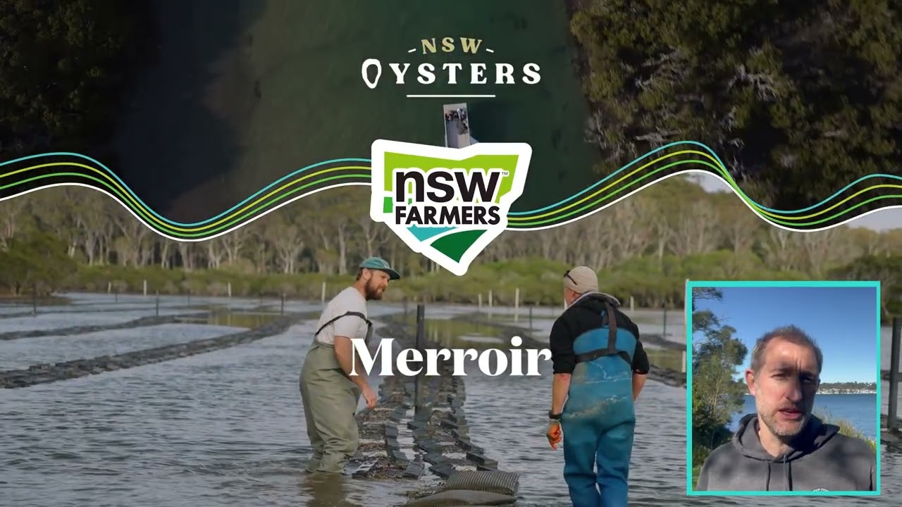 Building Resilience: Tools, Insights & Innovation for the NSW Oyster Industry