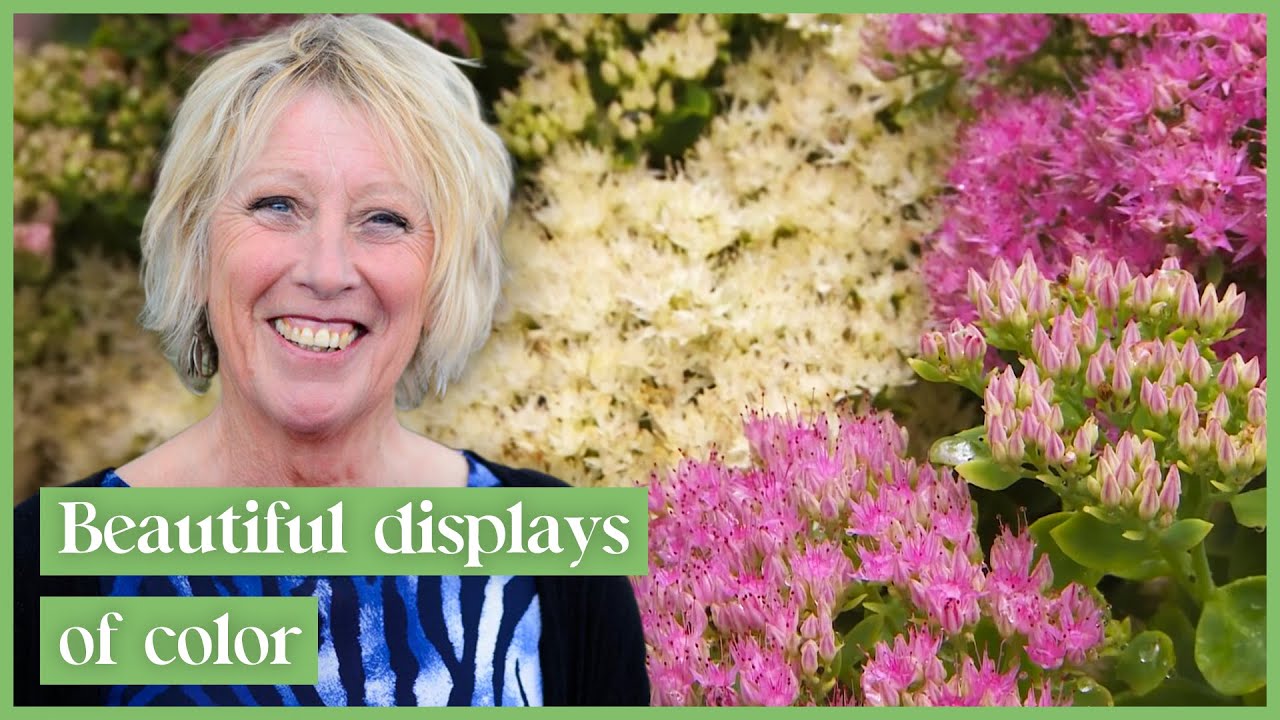 Carol Klein's Exclusive Look At The Most Vibrant Flower Garden!