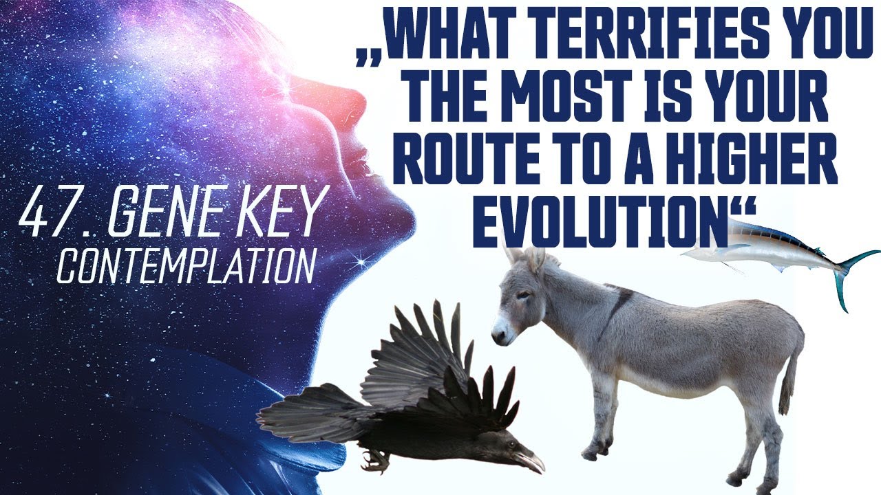 47th Gene Key 💜 Transfiguration - Transmutation - Oppression (Gene Key 47 Contemplation)