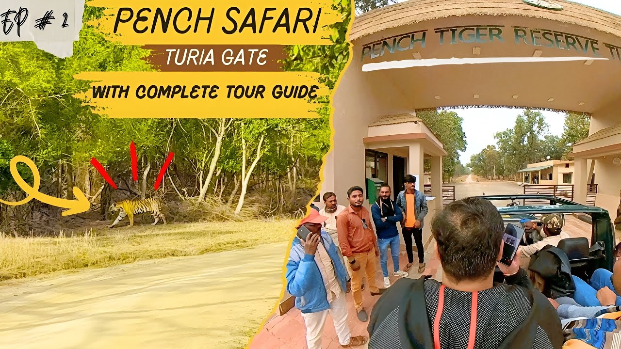 Pench Nation Park | Pench Tiger Reserve | How To Book Safari | हिन्दी | Indian Armstrong