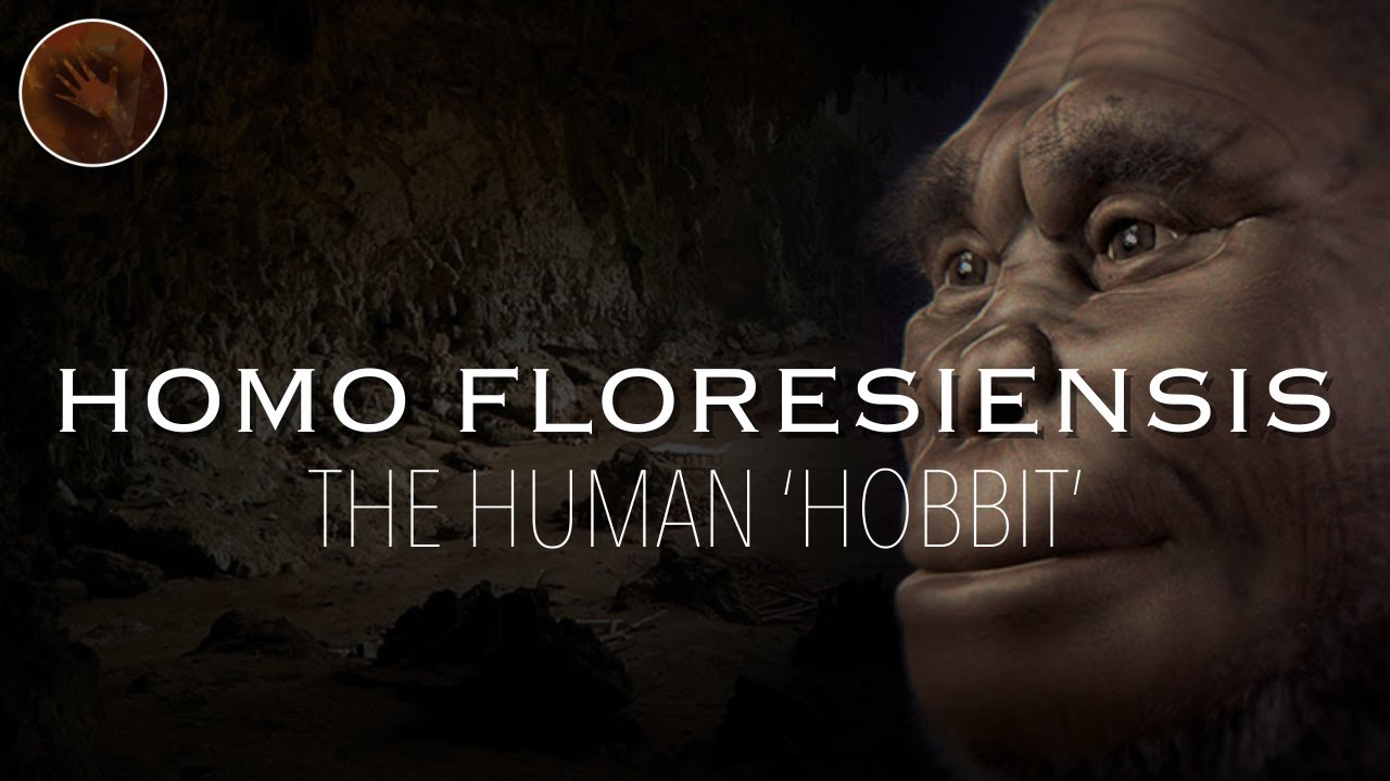 Homo Floresiensis: The Real Life 'Hobbit' | Prehistoric Humans Documentary