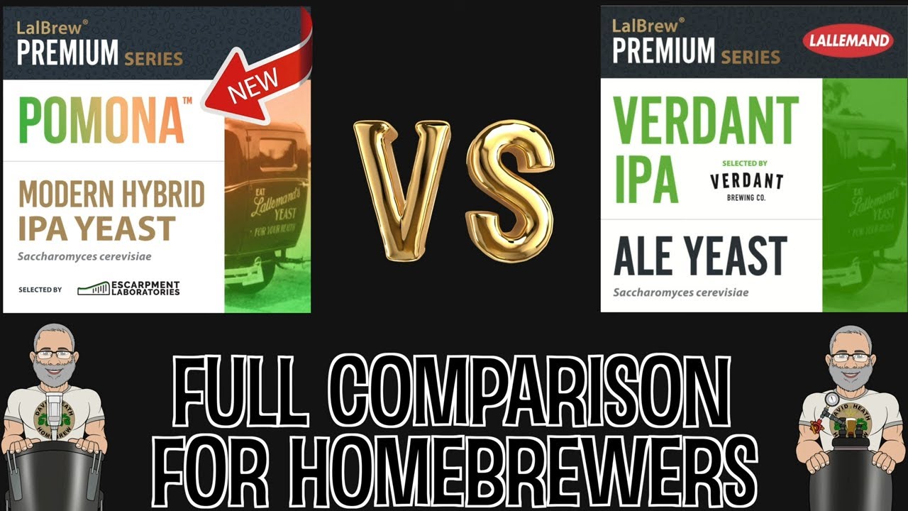 Pomona Vs Verdant IPA Yeast Compared