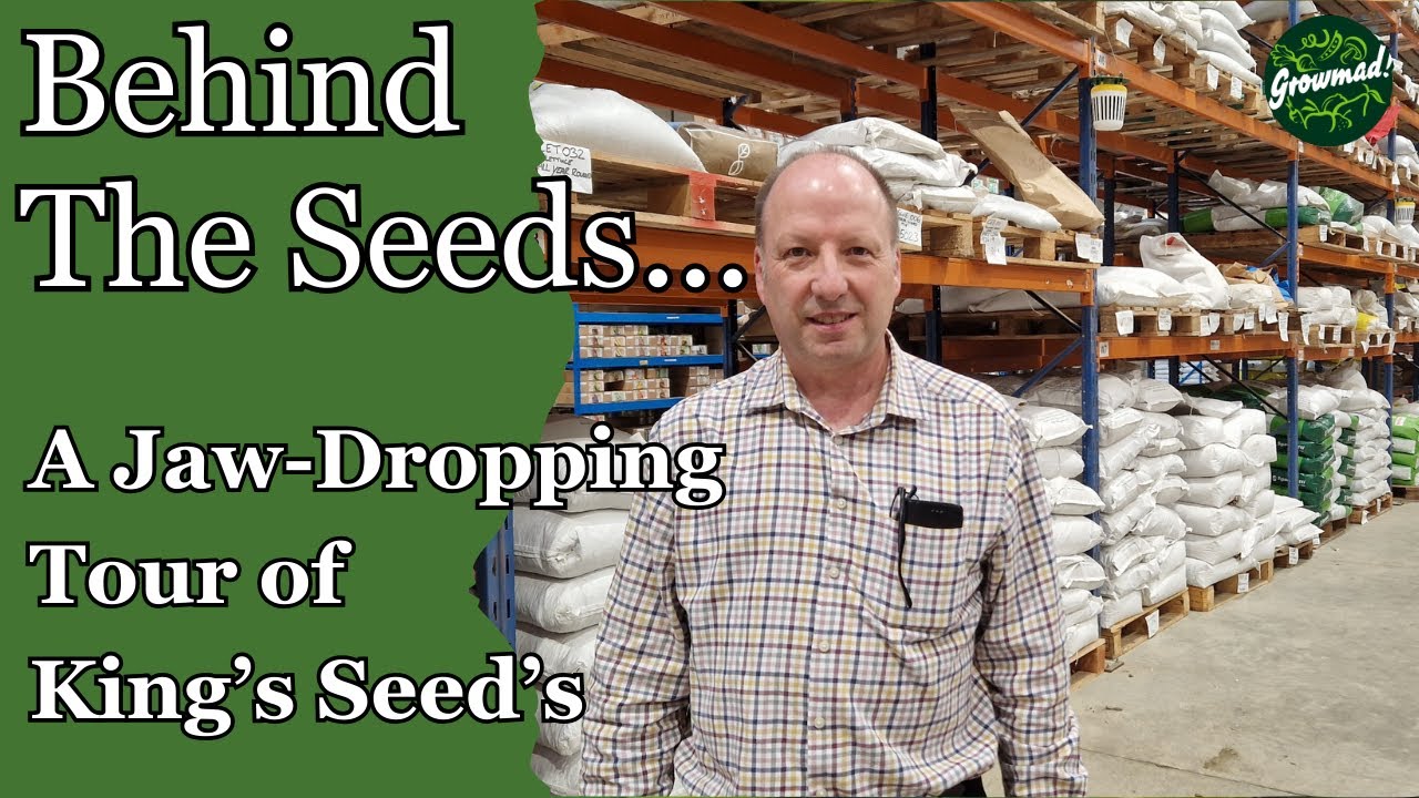 Inside Kings Seeds