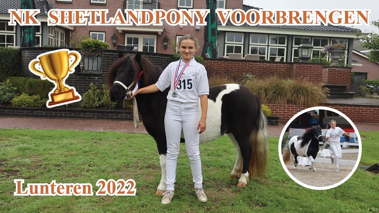 Nederlands Kampioenschap SHETLANDPONY voorbrengen | Vlog #29 | Dwally's Horses