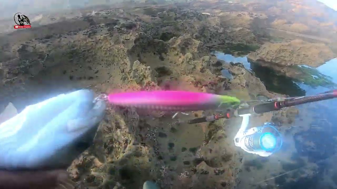 الصيد بالجر بتقنية سبينينغ مع شعيبة