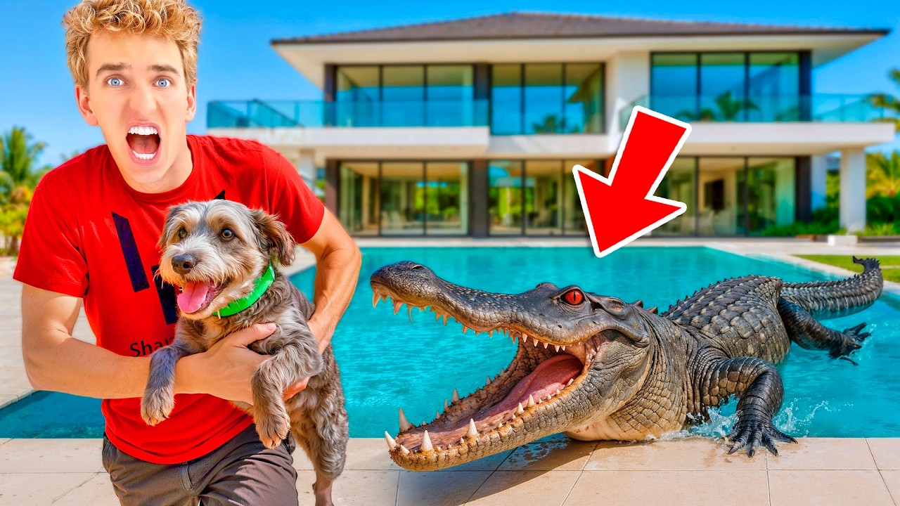 ALLIGATOR ATTACKED MY DOG!