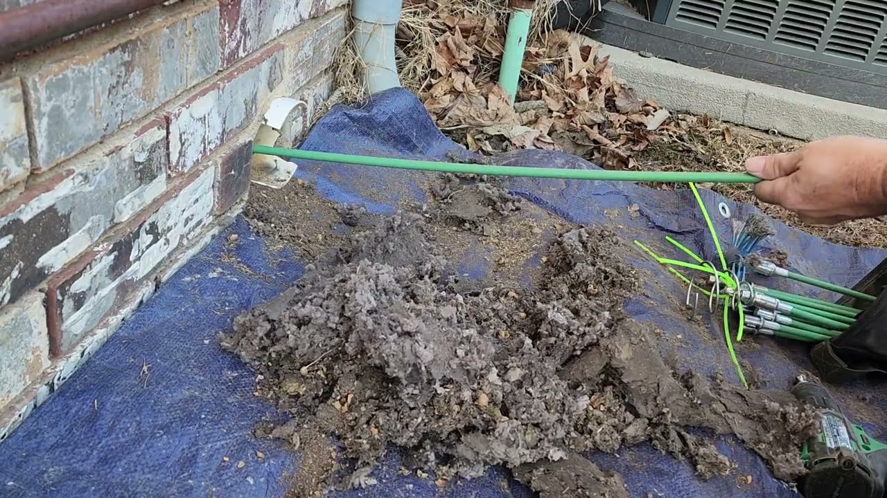 Notice All The Acorns, This is why a Dryer Vent Cover is so important!!!