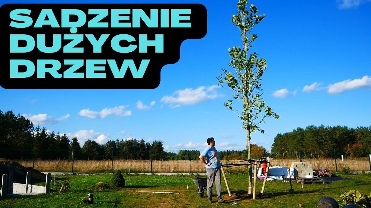 Sadzenie DUŻYCH drzew  Na Działce! odc.93