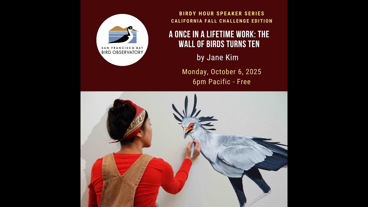 A Once in a Lifetime Work: The Wall of Birds Turns Ten