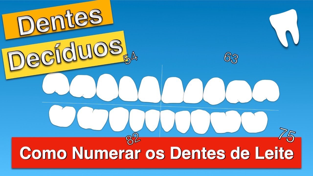 Numeração dos Dentes Decíduos(Curso de ASB)