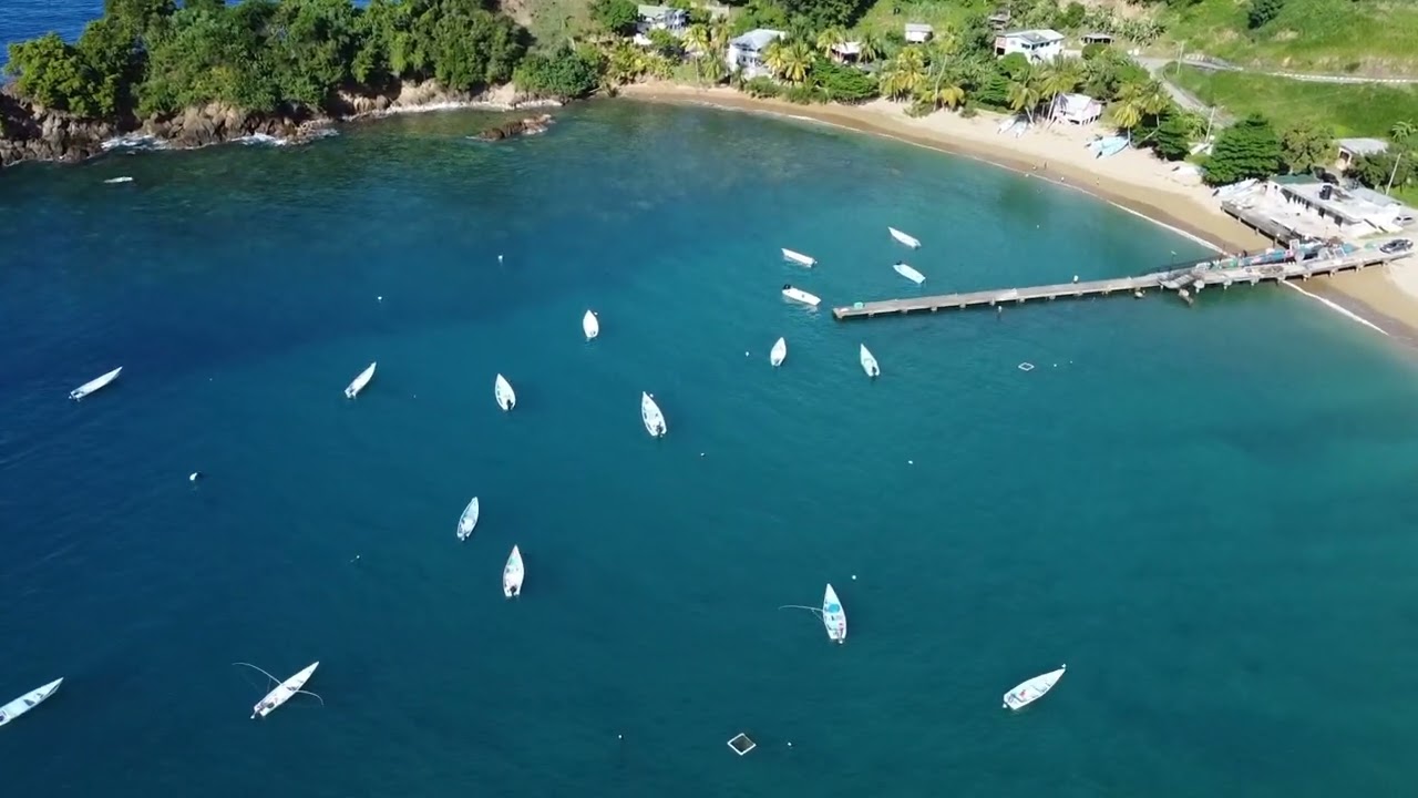 Parlatuvier Tobago #tobago #caribbeanislands #tobagolove #4k #drone