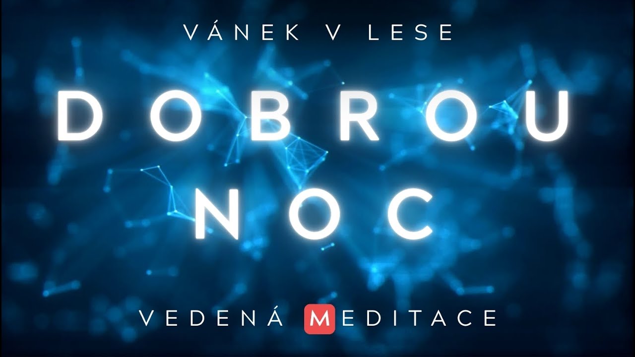 Nemůžete spát? Hypnotická procházka lesem pro uvolnění těla i mysli