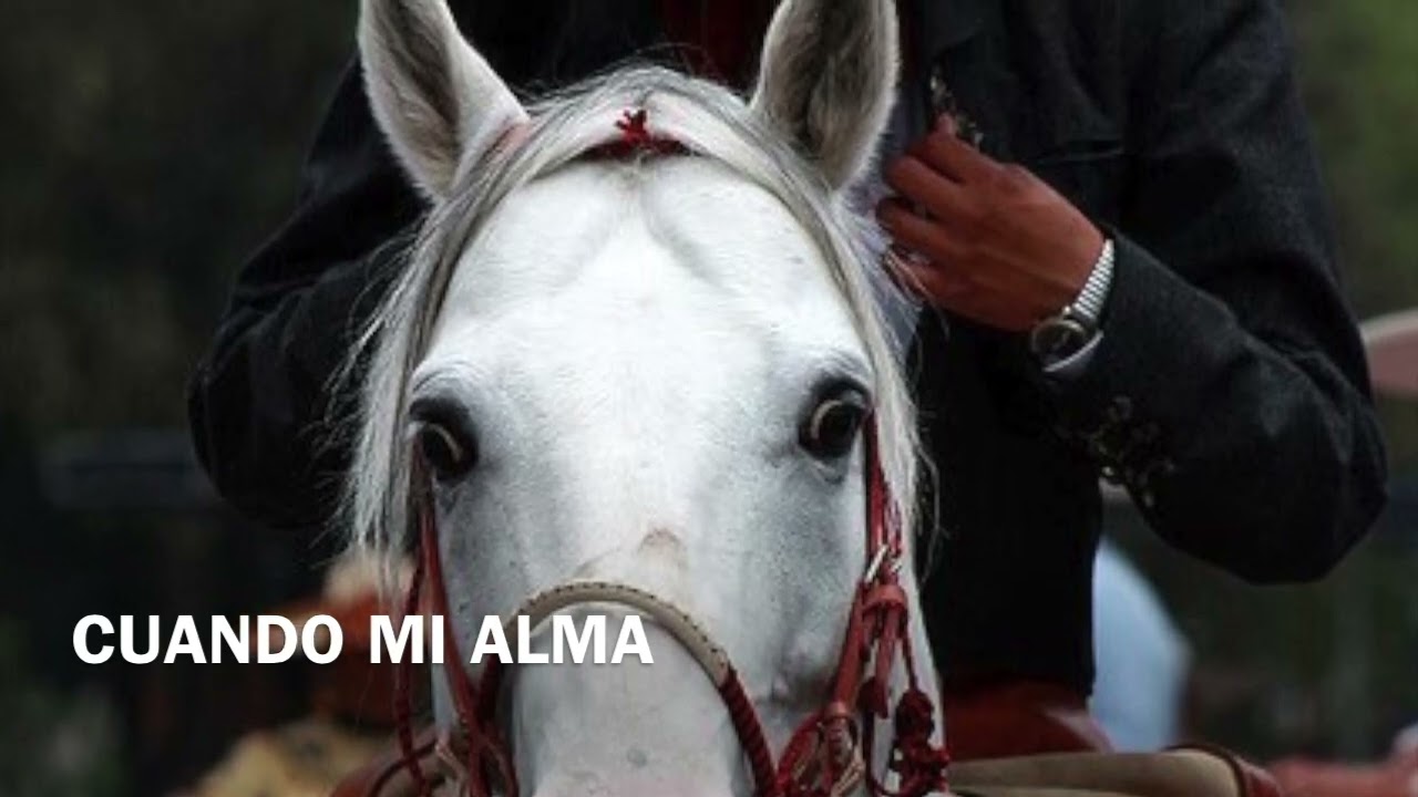 EFRAIN GARCIA CUANDO MI ALMA Mariachi Cristiano ,Ramon Gonzales, vicente fernandez,  Bohemio de afic