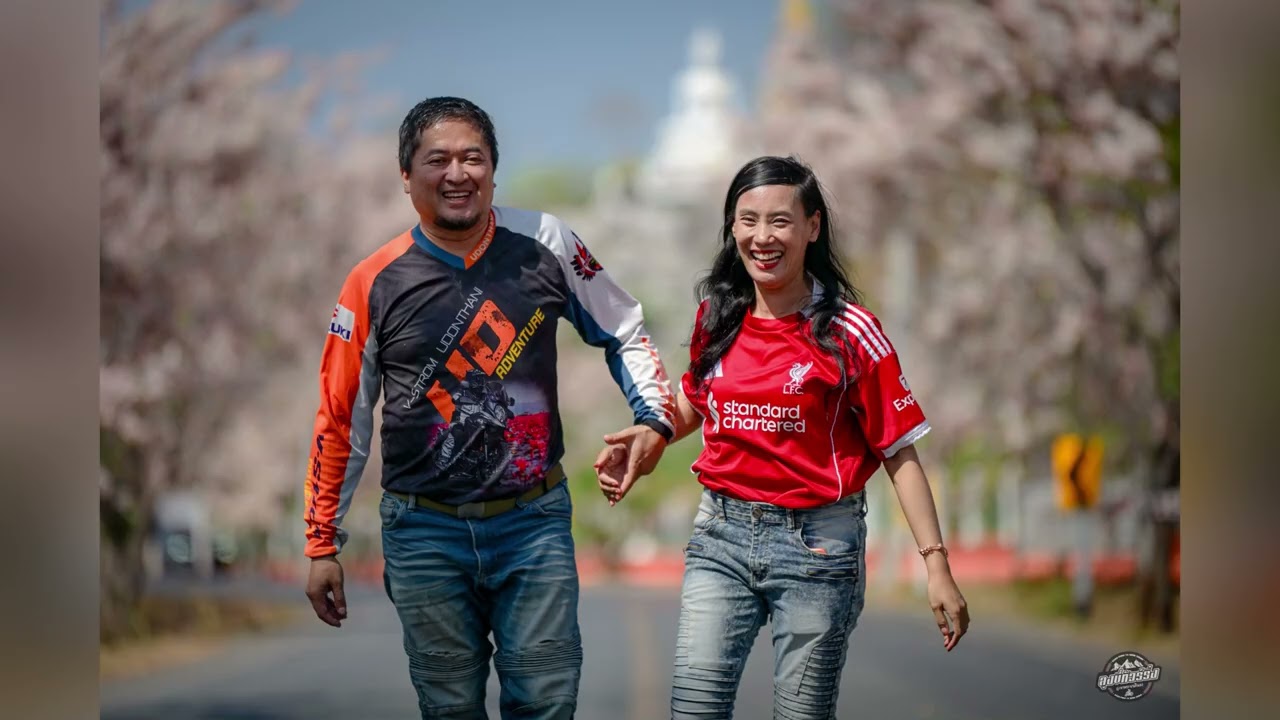 ซากุระเมืองไทย #วัดถ้ำบ่อทองลพบุรี