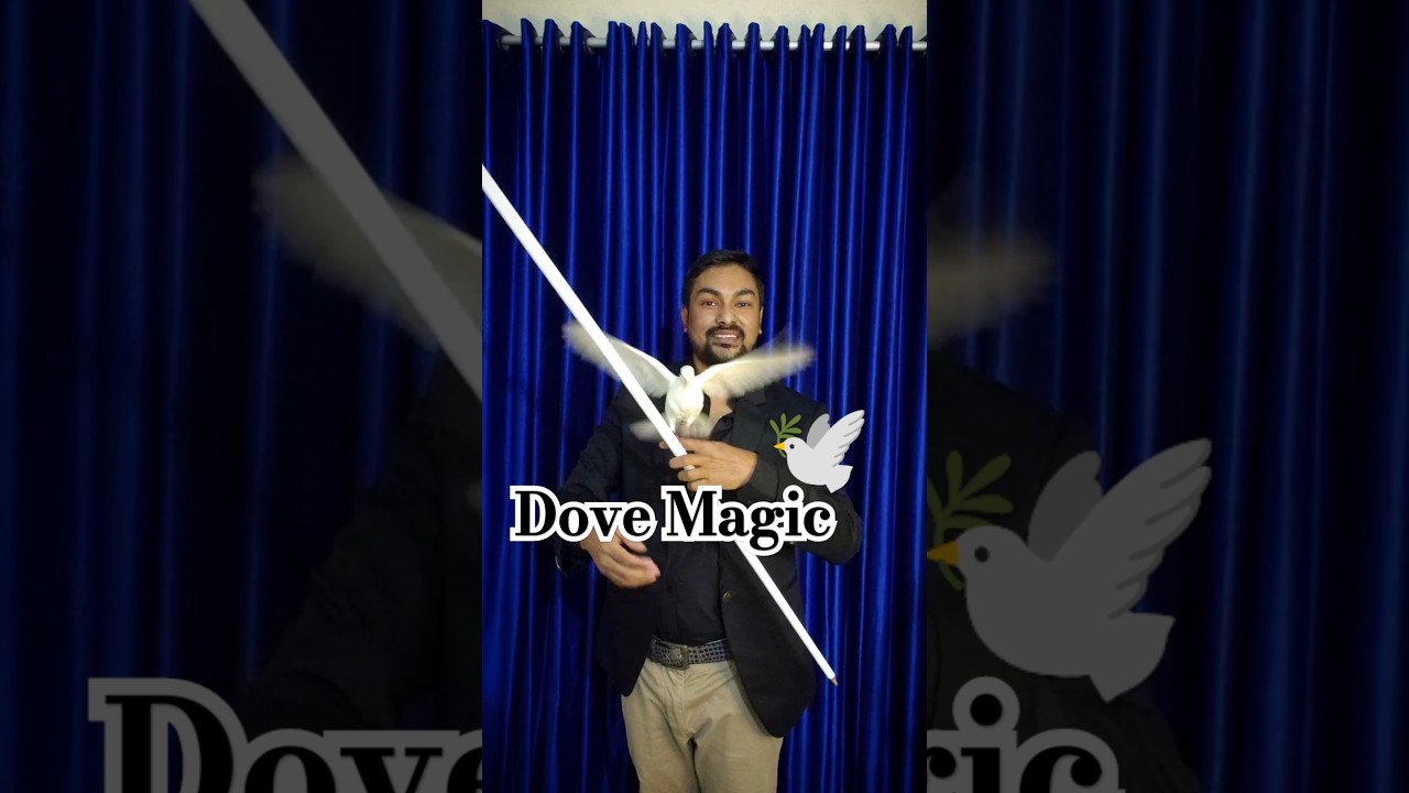 Amazing Dove Magic / Feather to Dove #Dovemagic #reelsmagic #newmagicaltrick #viralreels #magic