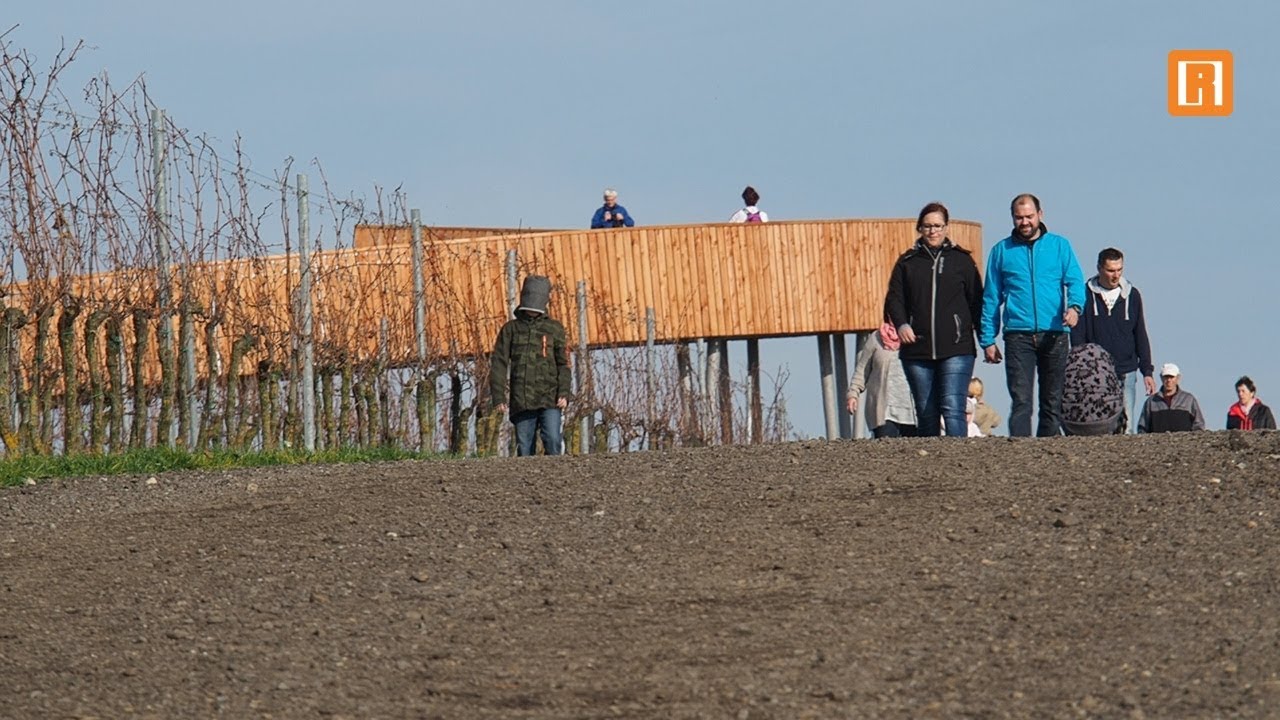 Kobylí: stezka nad vinohrady