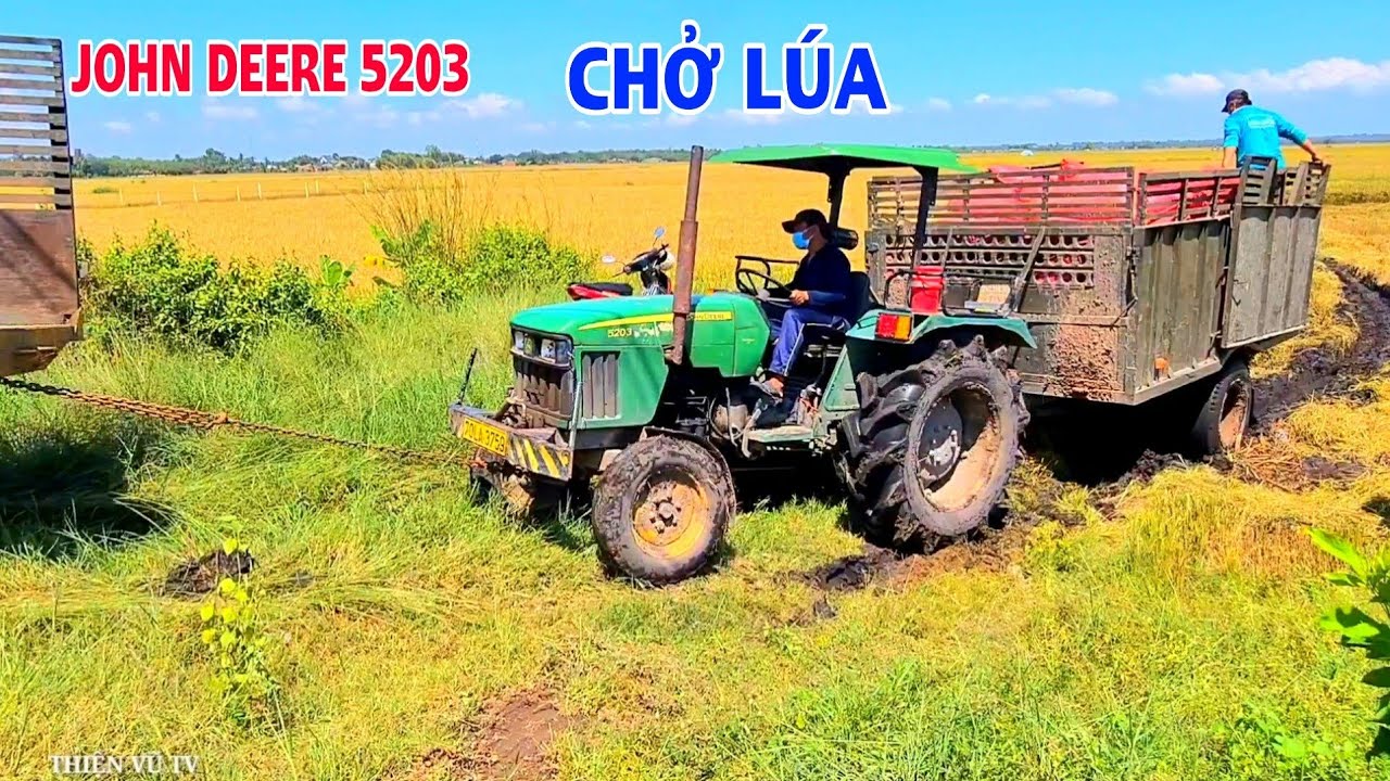 Máy Cày John Deere 5203 Chở Lúa Gặp Đất Dẽo Đùn Bánh Mọt Lên Dốc Không Nổi, Thiện Vũ TV