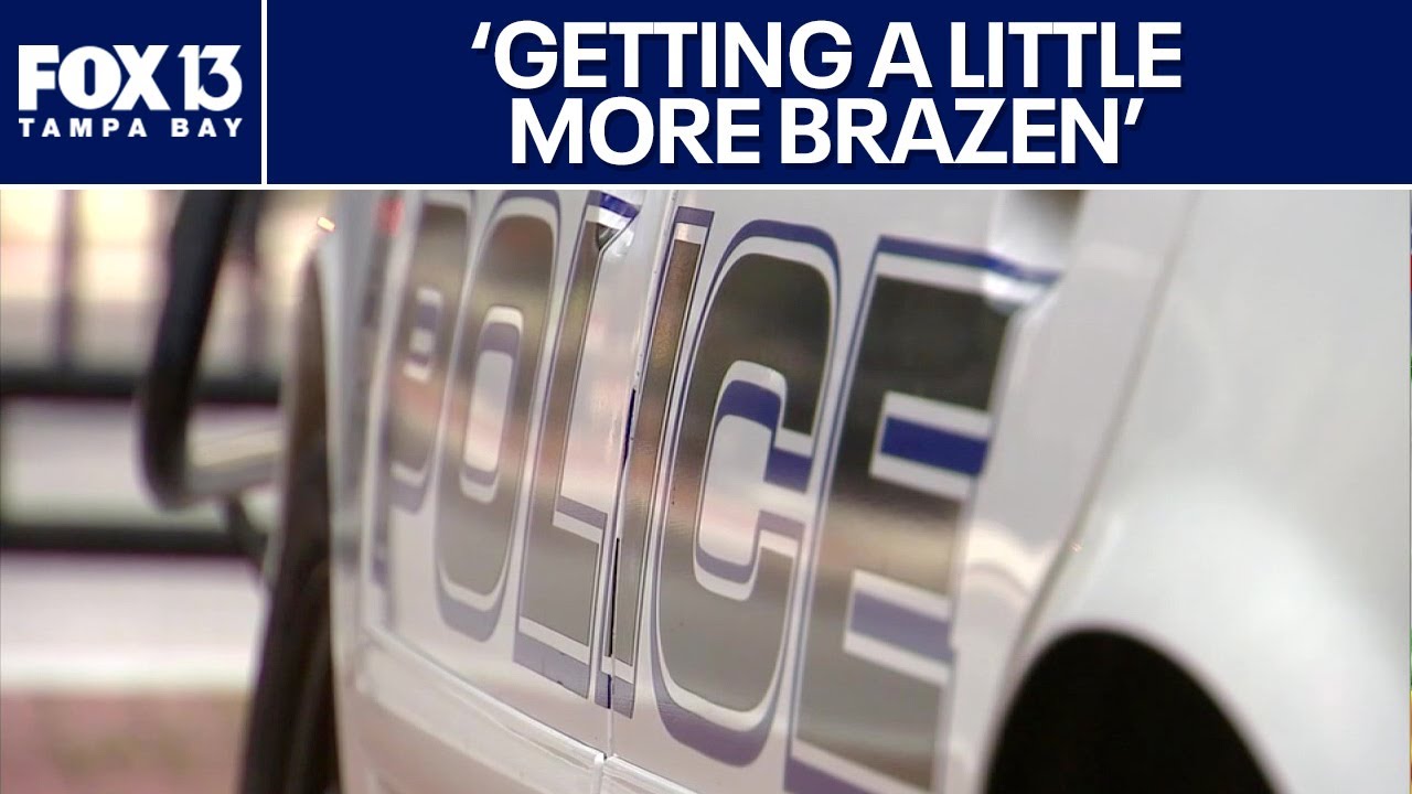 Tampa police see increase in child porn arrests