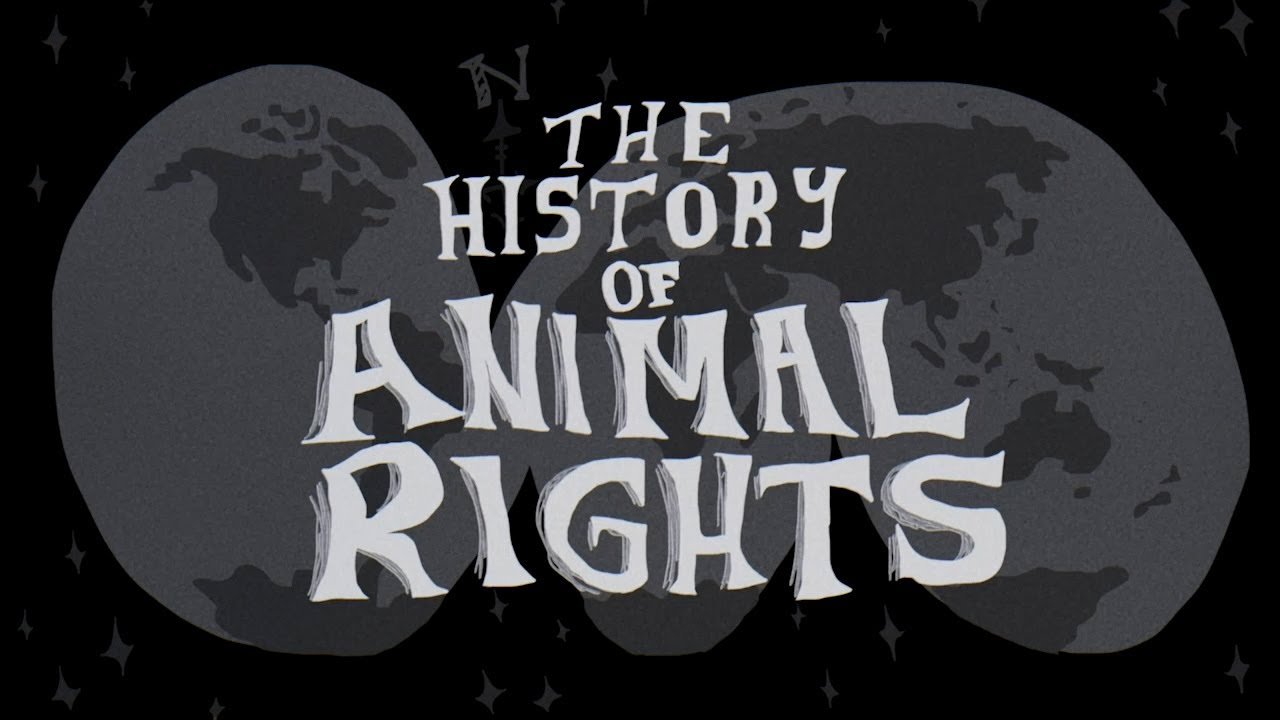 History of Animal Rights | Moby's Veganniversary