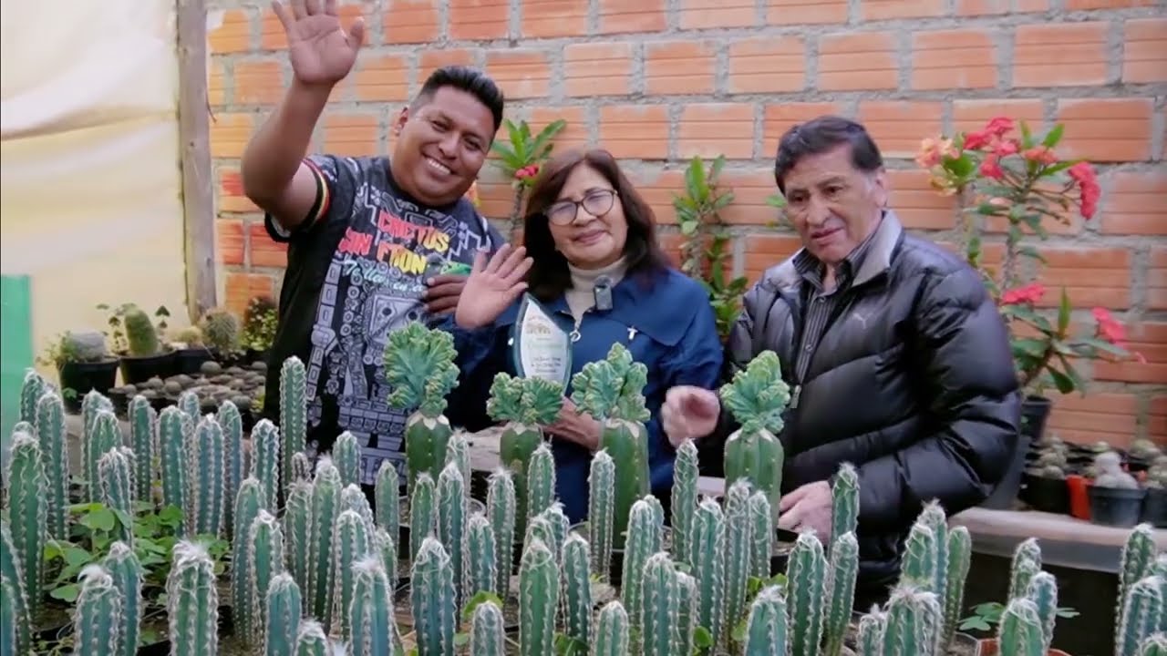 Vivero el Pedregal, pioneros en el reino de las espinas (Cactus y suculentas) en Bolivia