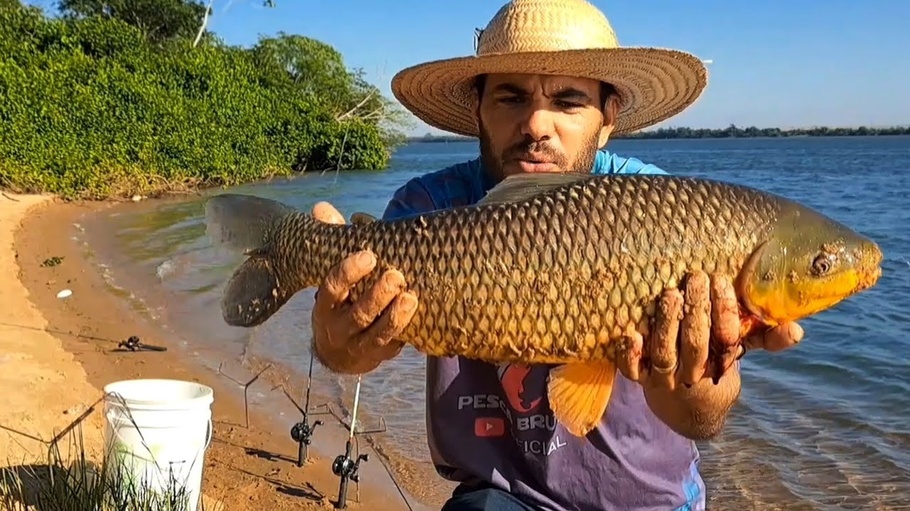 PIAUÇU GIGANTE NA PESCARIA DE BARRANCO , NÃO DAVA TEMPO DA ISCA CHEGAR NO FUNDO/PESCARIA..