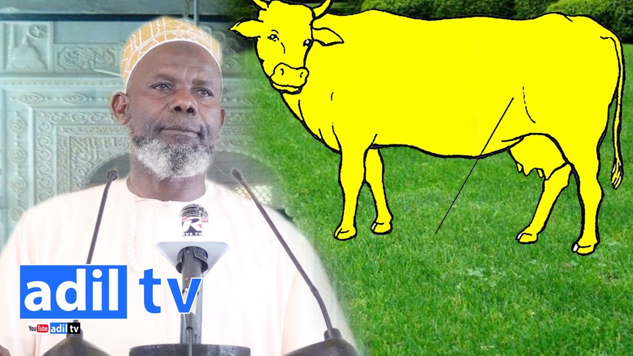 SHK.MSELEM SHUHUDIYA QISA CHA NG'OMBE HUYU CHENYE KUFURU KUBWA|NJIYA ALIYO ITUMIA ALLAH KUTATUA HIL