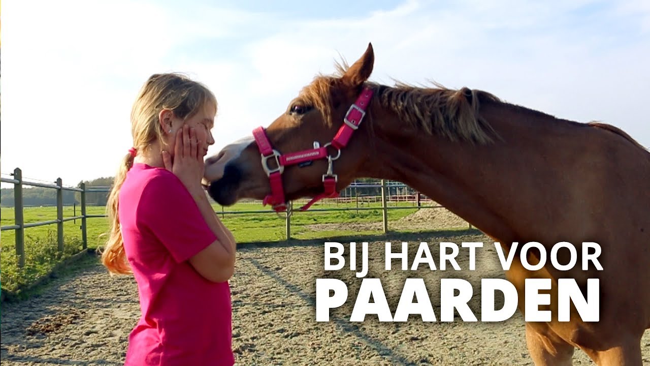 Op stal bij Hart voor Paarden! | Vlog #26