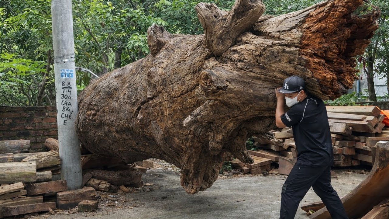 The Men Building A One Pillar Wooden House // On A Giant Tree Trunk