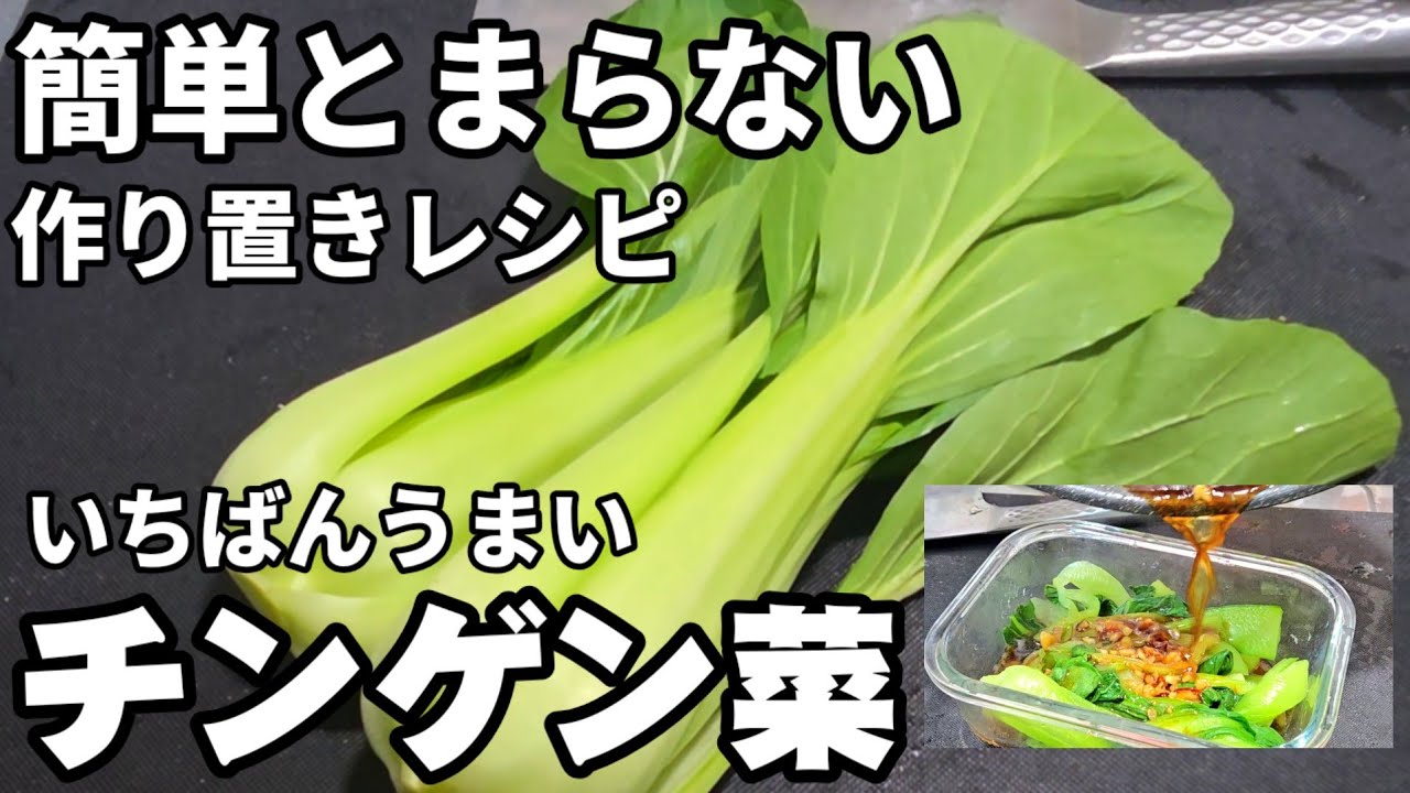 チンゲン菜はこれにするべき！簡単めっちゃうまい！作り置き 常備菜 副菜 青梗菜 健康 節約 漬物  おつまみ お弁当レシピ 箸休め