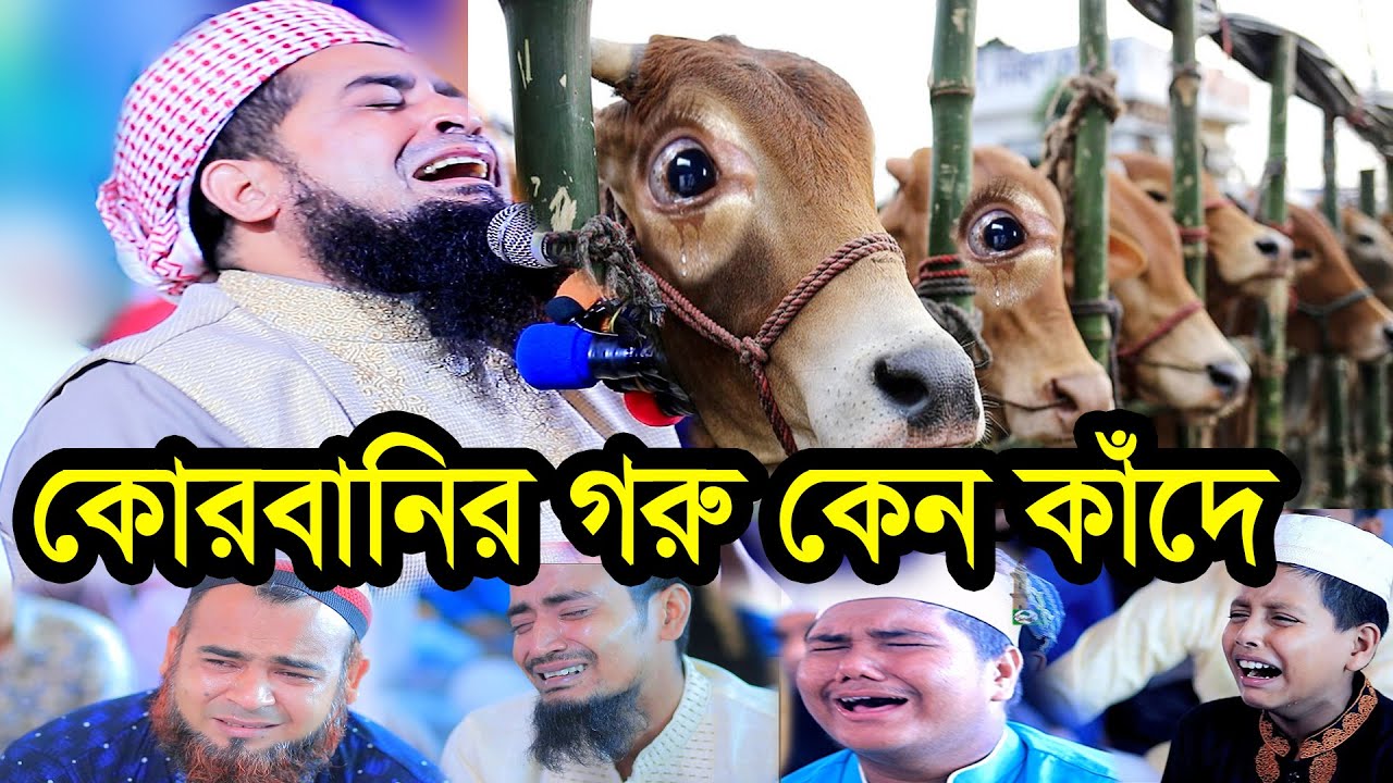 ১৪ই জুন হজ্জ ও কোরবানির জুম্মা বয়ান ইলিয়াছুর রহমান জিহাদী eliasur rahman zihadi waz 2024