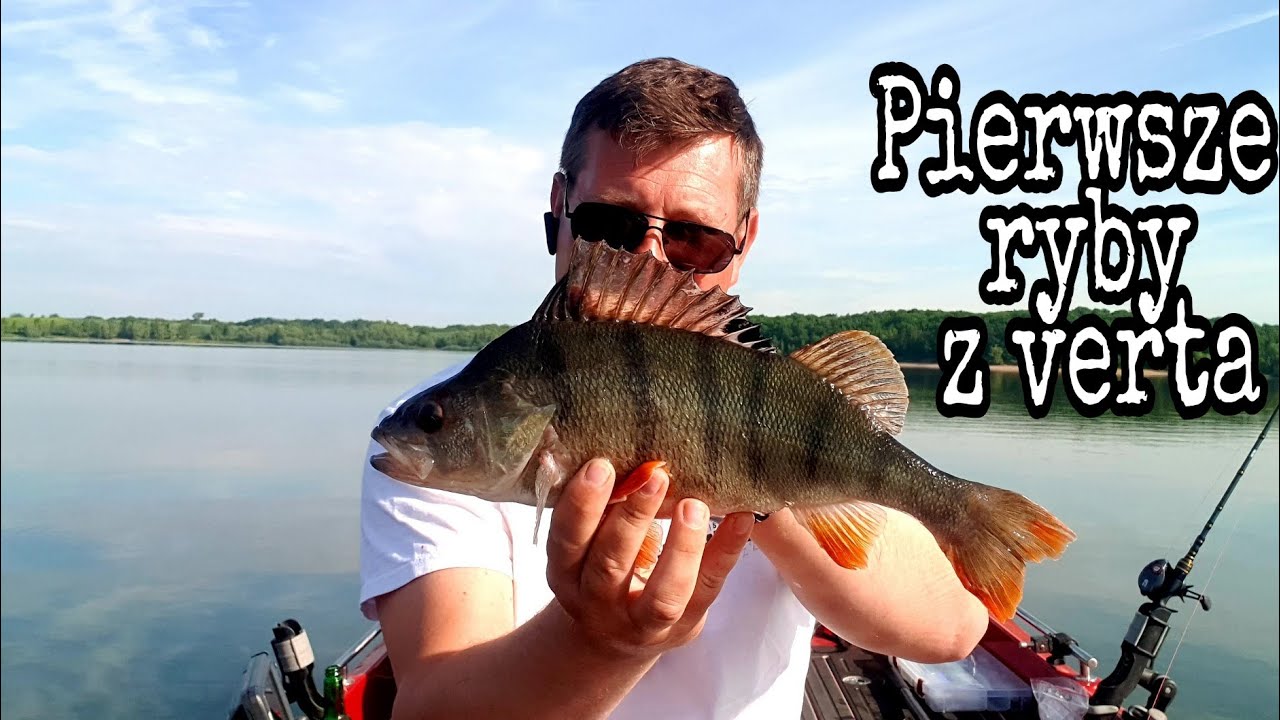Pierwsze ryby z verta | #VerticalJigging | sandacz okoń szczupak