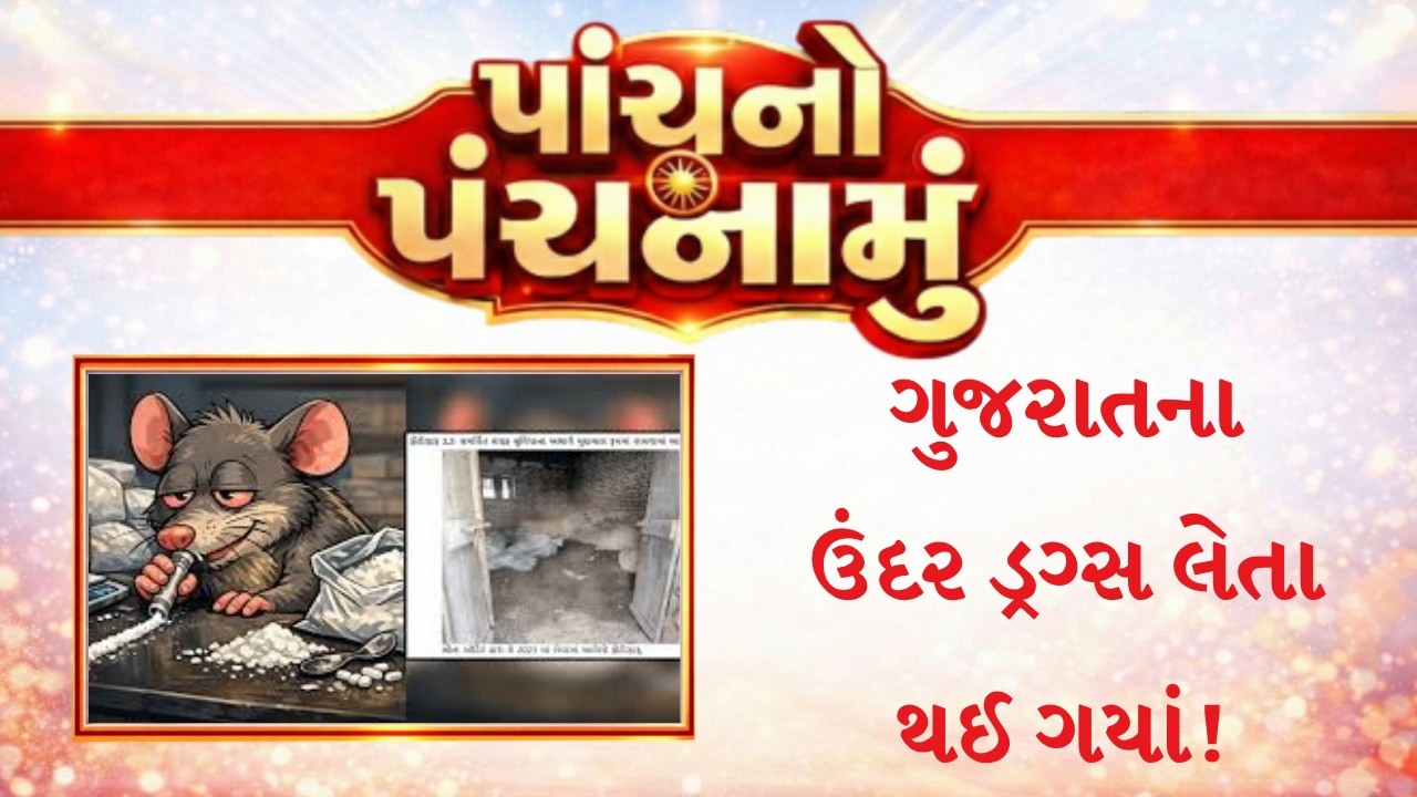 Panchnama of five: Rats have started taking drugs! | MantavyaNews