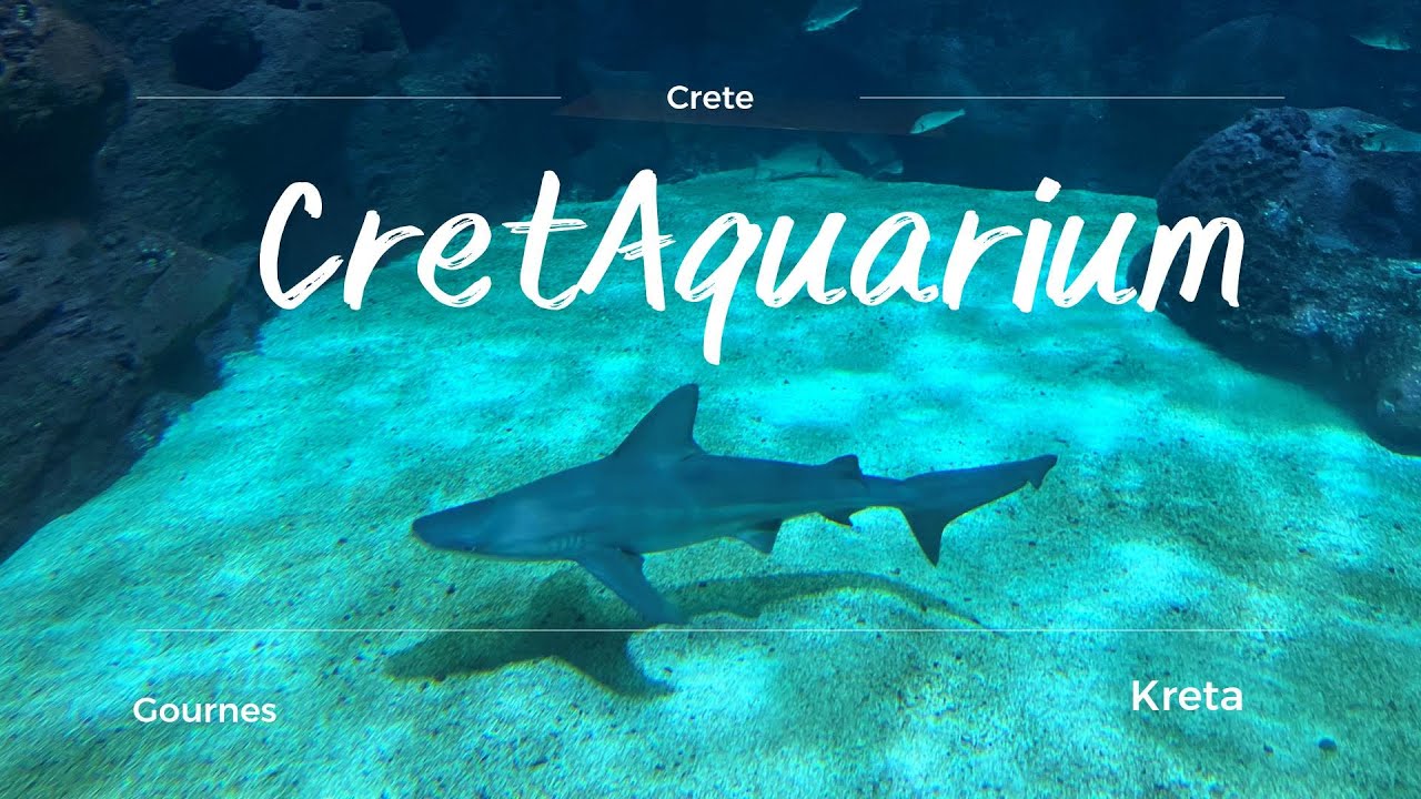 Crete Aquarium CretAquarium 4K