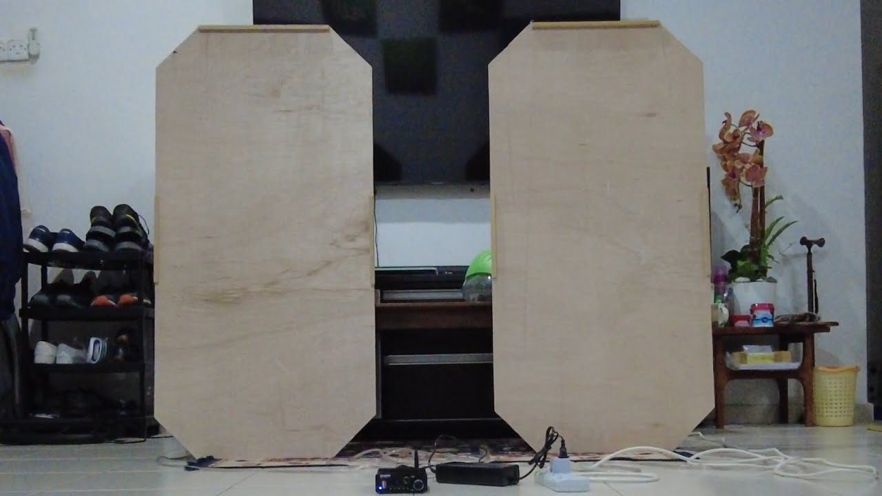 DIY Vibration Speakers (DML  Speakers)