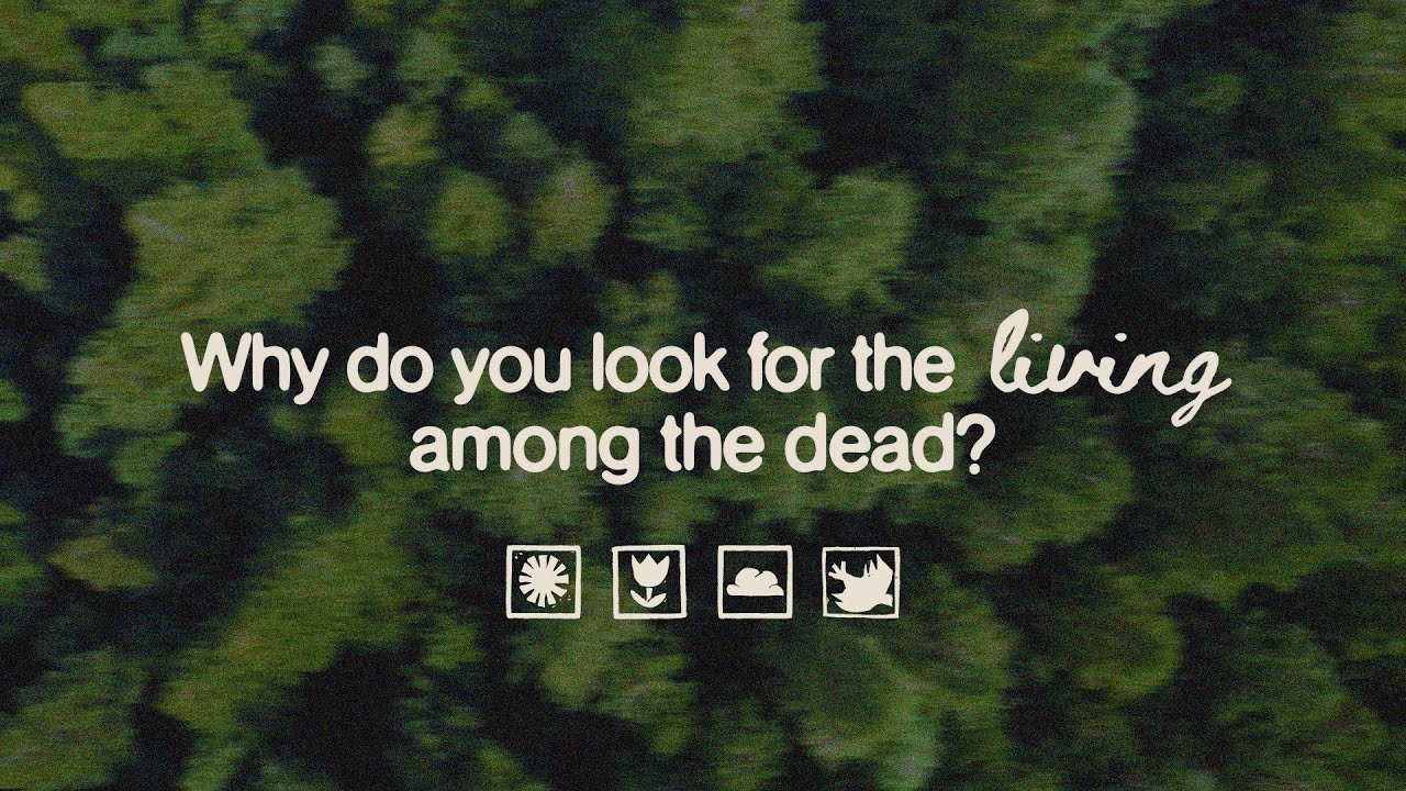 Local Church Online Experience (11am)