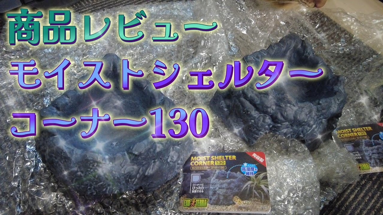 モイストシェルターコーナー【商品レビュー】