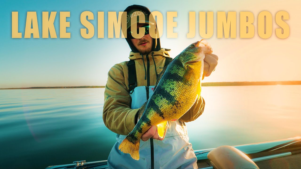 LAKE SIMCOE PERCH FISHING