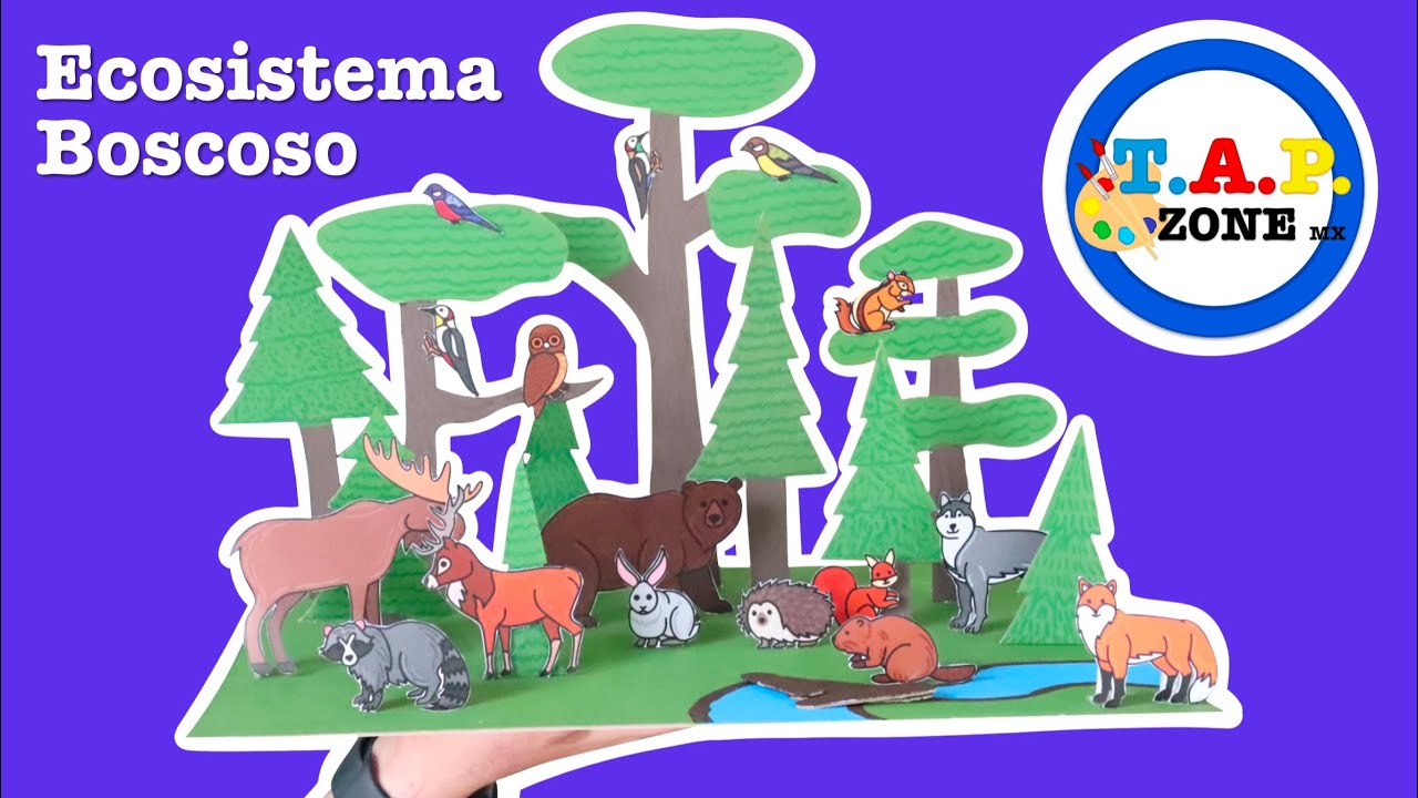 Como hacer la Maqueta del ecosistema Boscoso (Maqueta del Bosque) TAP ZONE Mx (EP.5)