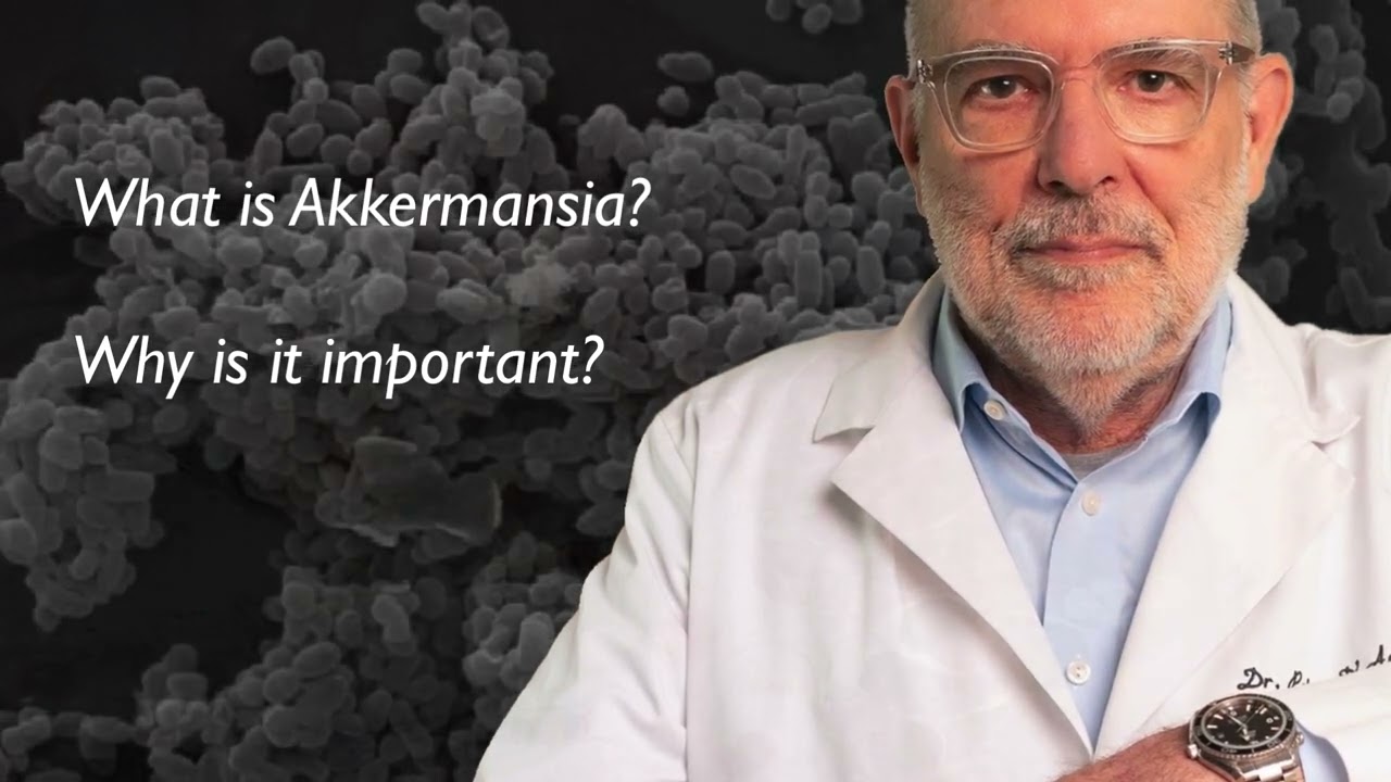Polyflora + by Dr. Peter D'Adamo: prebiotics + probiotics + keystone postbiotic species, Akkermansia