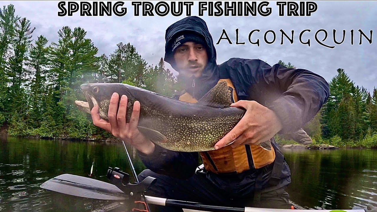 The best Spring Algonquin Brook Trout & Lake Trout Fishing Video Ever | 2025