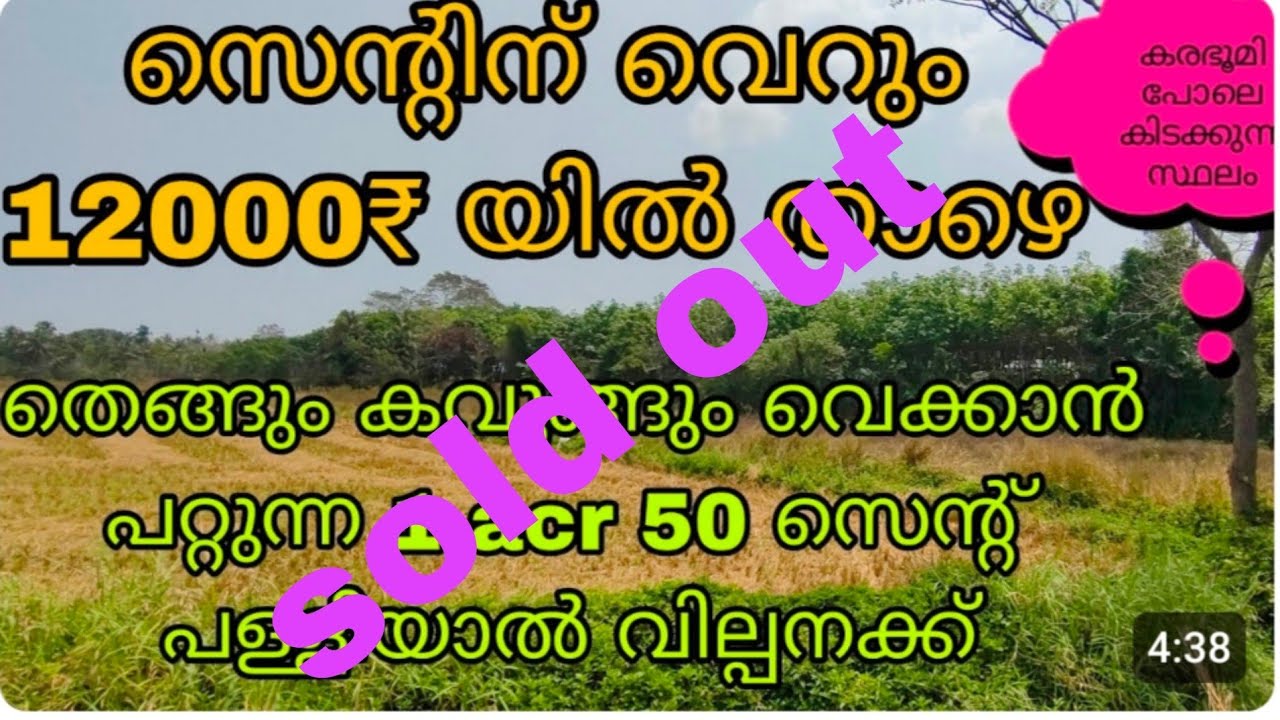 സെന്റിന് വെറും 12000 രൂപയിൽതാഴെ തെങ്ങുംകവുങ്ങും വെക്കാൻ പറ്റുന്ന1 acr 50 സെന്റ്പള്ളിയാൽ വില്പനക്ക്‌